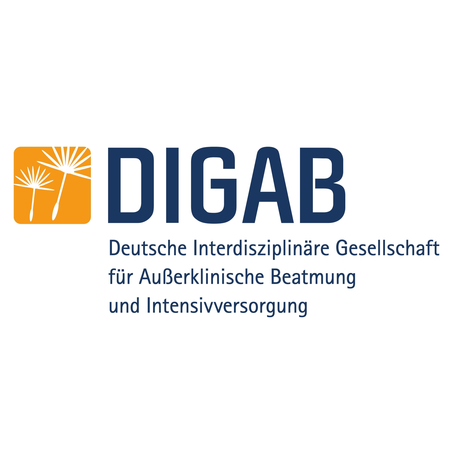 DIGAB Logo