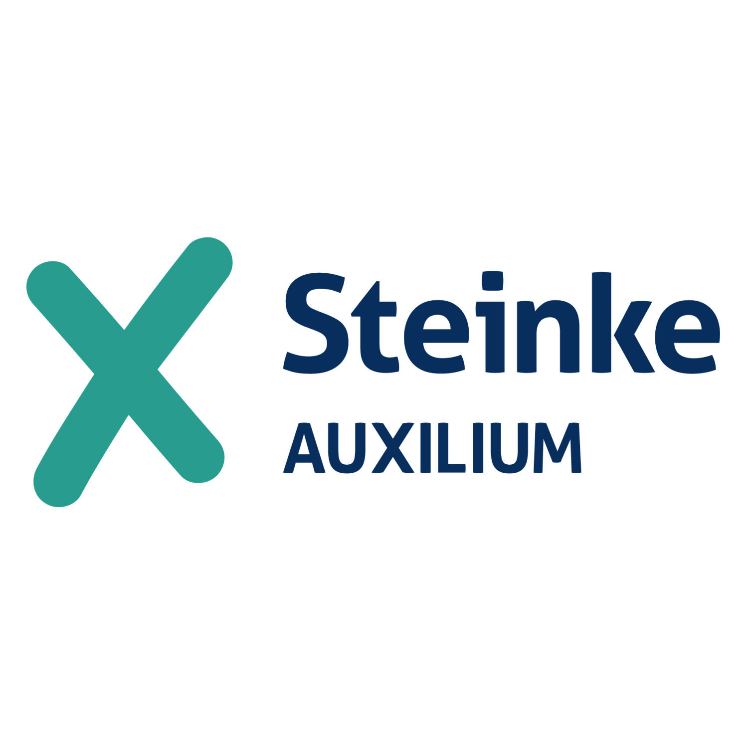 Steinke, Auxilium
